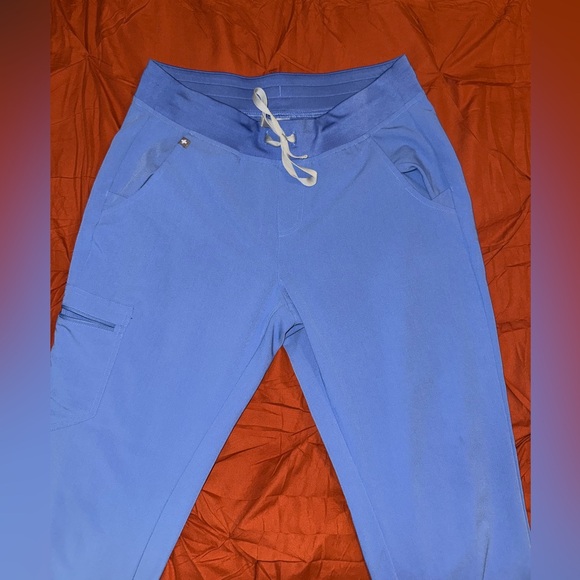 FIGS Zamora Scrub Pants in Ceil Blue - Picture 5 of 6